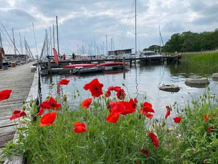 Krummin Ferienhaus Mit Wasserblick Auf Der Insel Usedom מראה חיצוני תמונה